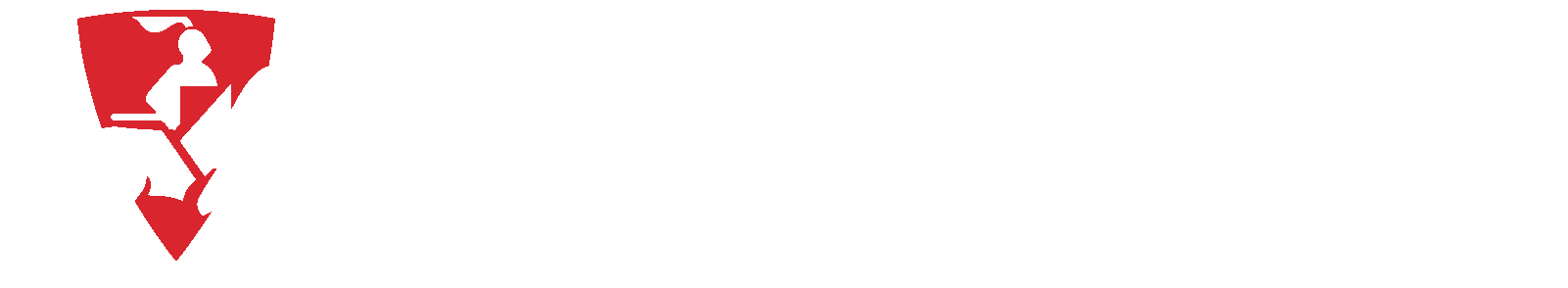 Lochinvar boiler systems logo